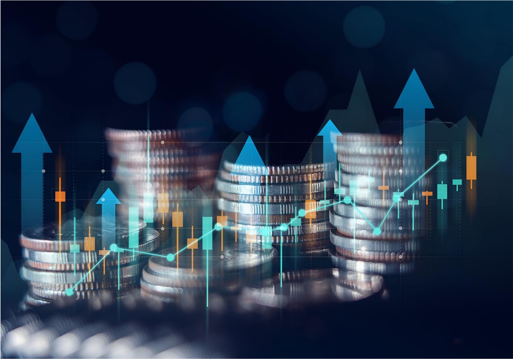Economics-FIIS-up
